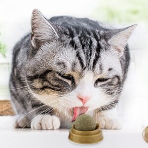 Kedi Nanesi Cat Mint Oyun Topu