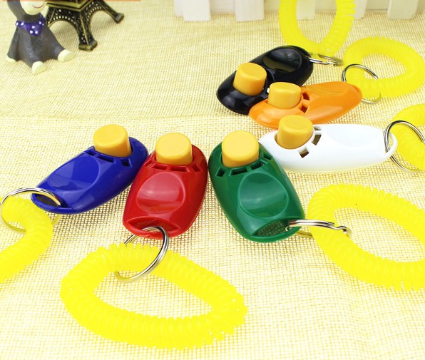Köpek Eğitimi Clicker - Görsel 3