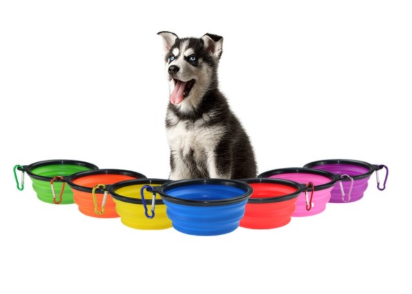 Katlanabilir Kedi Köpek Mama ve Su Kabı - Görsel 4