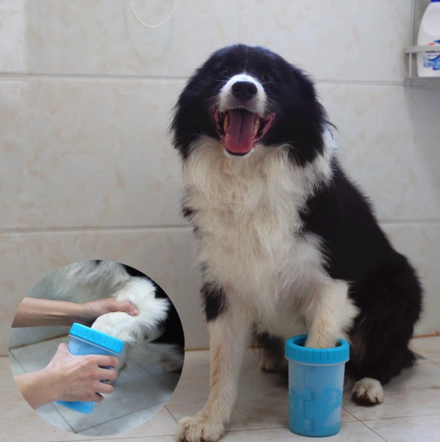 Welfare Köpek Pati Yıkama Aparatı KÜÇÜK - Görsel 2