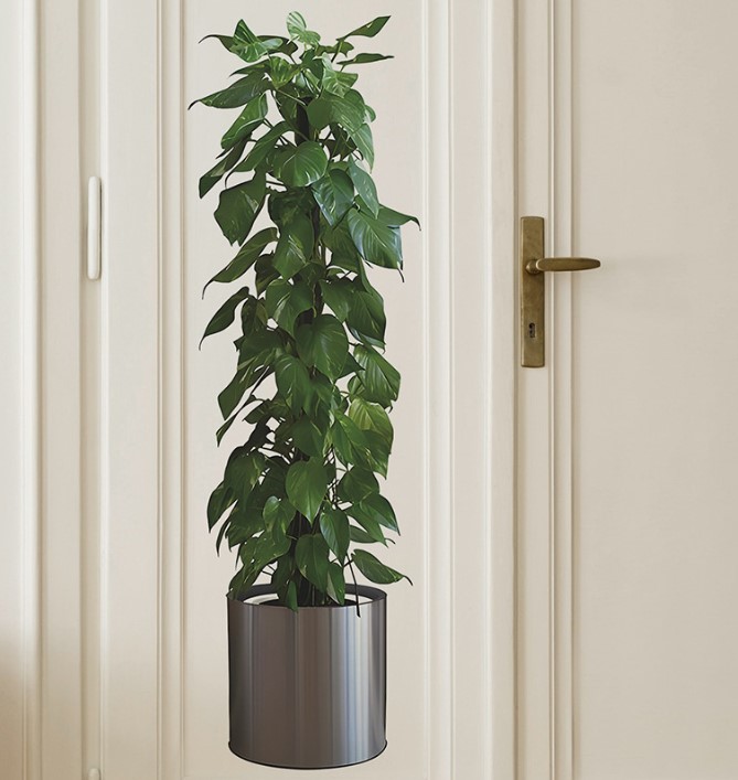Saksılı Bitki Tasarımlı Yapışkanlı Sticker Resim 90*30 cm MC-665 - Görsel 2