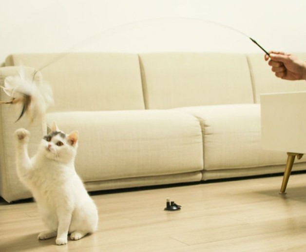 Vantuzlu Tüylü Zilli Kedi Oyun Oltası - Görsel 2